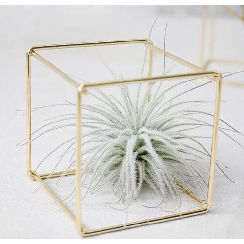 Creative Iron Rustic Style Metal Geometrical Storage Air Plant Receptacle Flower Plant Stand Rack Holder Display Decoration 2021