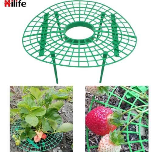 HILIFE Fruit Support Plant Flower Climbing Vine Pillar 5pcs/set Plastic Strawberry Growing Support Stand Plant Tray Rack