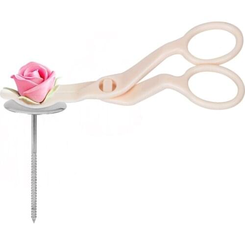 HILIFE Cake Plastic Scissors for Cream Flower Transfer Stainless Steel Piping Nail DIY Cake Decorating Tool Set Practical 1set