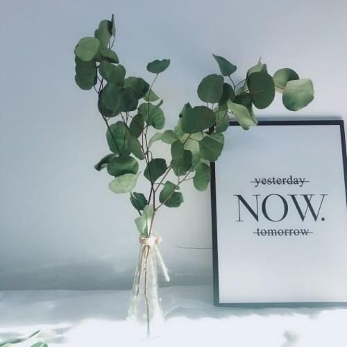 100g eucalyptus jugalii vein design, eternal flower, myosotis bouquet selected with leaves for artistic flower NO VASE