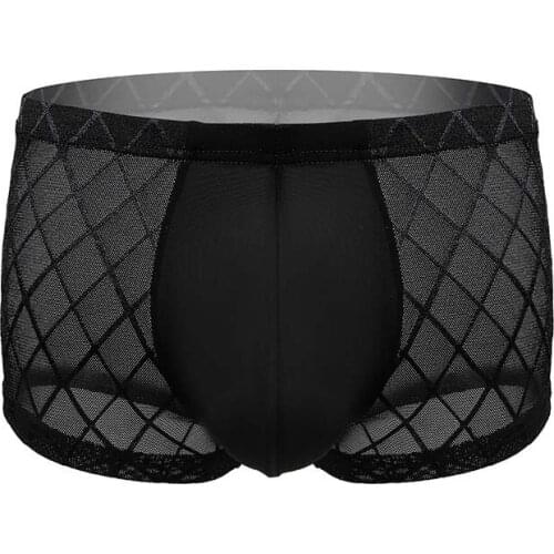 Sexy See Through U Convex Pouch Fantasy Boxers Underwear Breathable Sheer Boxer Shorts Underpants Gay Wear Low Rise Boxershorts