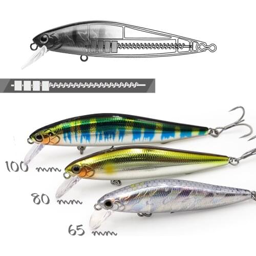 EWE Bass Lure 65/80/100mm AR-C Slow Sinking Minnow 7/10/14g All Range Jerkbaits Wobblers Artificial Hard Baits For Trout Fishing