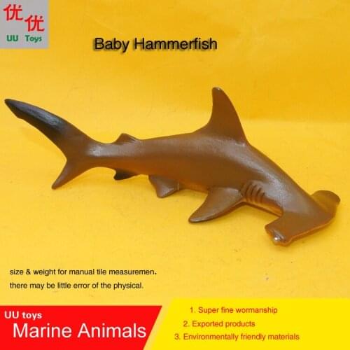 Hot toys Brown Hammerhead shark Simulation model Marine Animals Sea Animal kids gift educational props (Balaenoptera musculus )