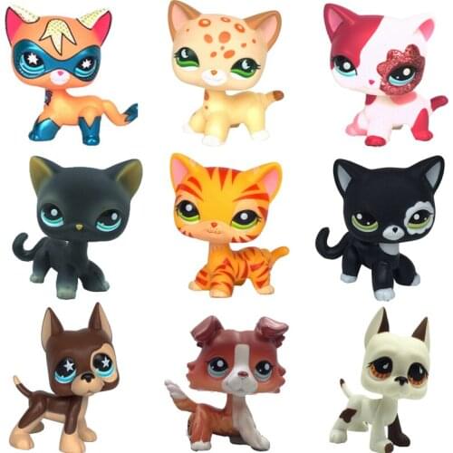 Lps cat pet shop toys Real Original Animal Cat Kitty Puppy Collie Dog Great Dane Girl gift