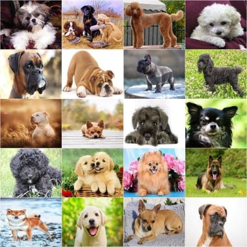 GATYZTORY 5D Diamond Embroidery Full Square/Round Dog Painting Full Square Animal Mosaic Handmade Home Decoration Gift