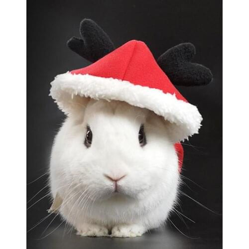 Thickening Easy to Wash Christmas Rabbit Costume Unisex Guinea Pig Clothes with Leash for Chinchilla