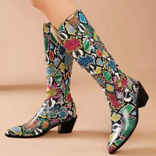 Snake Pattern PU Leather Women Knee High Boots Thick Heel Western Boots Fashion Pointed Toe Slip on Ladies Fall Winter Boots