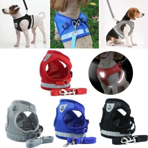 Dog Cat Harness And Leash Pets Adjustable Reflective Vest Kitten Puppy Jacket Walking Lead Leashes Polyester Mesh Pet Clothes
