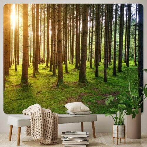 Secluded Forest Waterfall Home Decor Tapestry Hippie Bohemian Decor Tapestry Yoga Mat Large Size Background Cloth Sheet