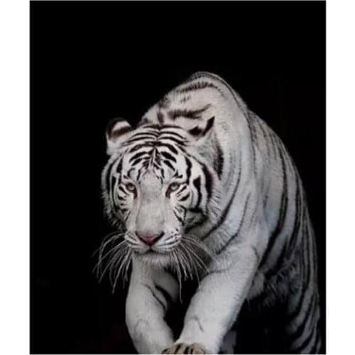 Sale Full Square Animal Black And White Tiger Picture Diamond Painting Cross Stitch Embroidery For Mosaic Craft Kit FC550