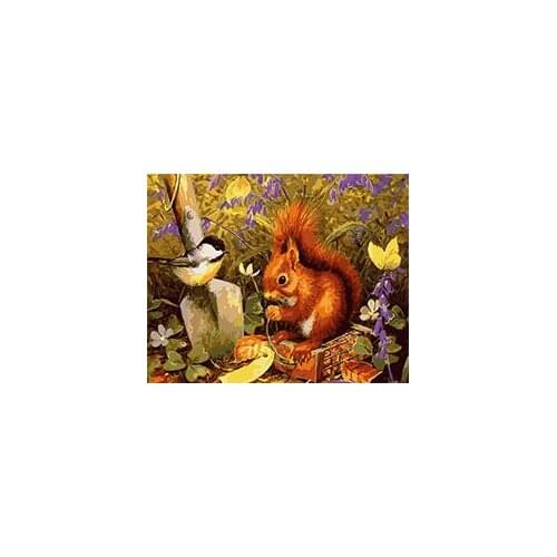 Cioioil-T045 Squirrels and birds in the wild coloring by numbers animal paint canvas wall pictures for living room framed 40x50