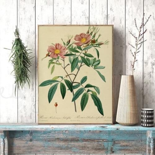 Ancient Botanical Poster Vintage Rose Flower Wall Pictures Classic Floral Lily Plants Wall Art Canvas Painting Living Room Decor