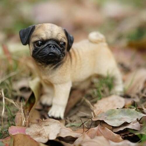 Pugs Decoration Dog Animal Birthday Gift Resin Model Ornaments Childrens Animal Model 1pc Toys Resin S5I2