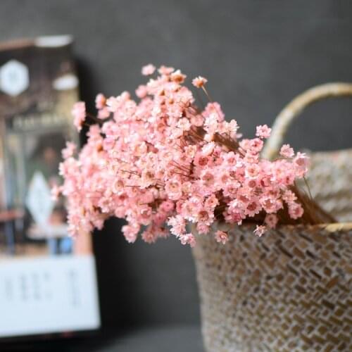 60pcs,Natural Eternal Rose mini star flowers,Dried Flower Bouquet for Wedding Party Home Decoration accessories,Display flower