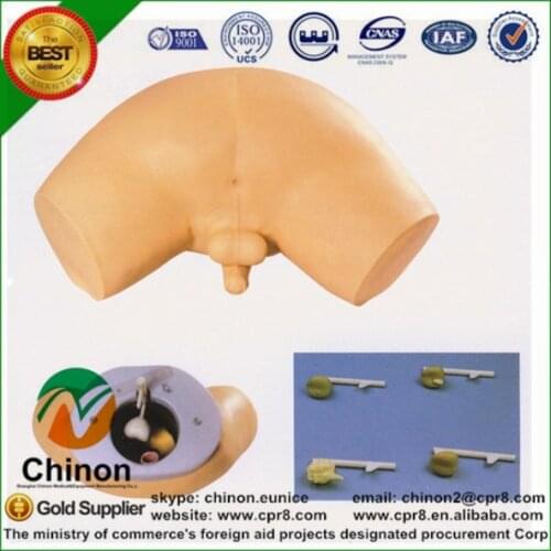 BIX-L63 Teaching Training Model Prostate Glands Medical Check Manikin MQ139