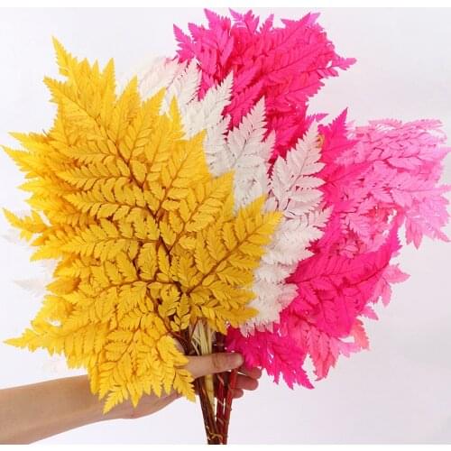 10Pcs Natural Ferns Fresh Pickled Plant Eternal flower Leaves Leaf Christmas For Wedding Home Decoration Accessories