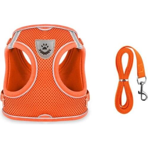 Creative Pet Dog and Cat Harness with Leash Reflective and Breathable for Small and Large Dog Harness Vest Pet Supplies b