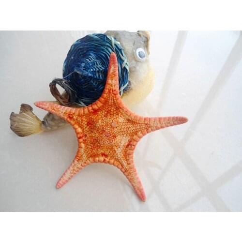 HappyKiss Deep sea small starfish red dry five fingers 6-10cm photography props decoration yangtz natural starfish