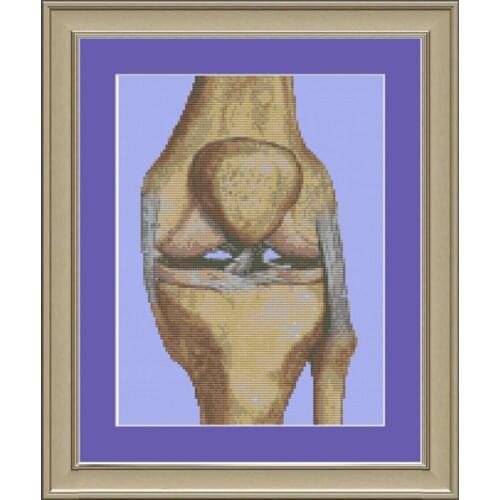 2020 Gold Collection Embroidery Human Knee Anatomy Cross-stitch Pattern with 100% Cotton Floss & Free Shipping for Home Decor