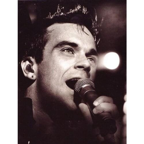 5d DIY Robbie Williams Picture diamond embroidery needlework 3d diamond painting cross stitch kit number Rhinestone home decor