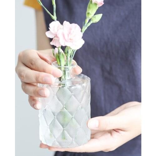 Simple Transparent Glass Small Vase Nordic Decoration Living Room Flower Home Vases For Flowers Aromatherapy Bottle