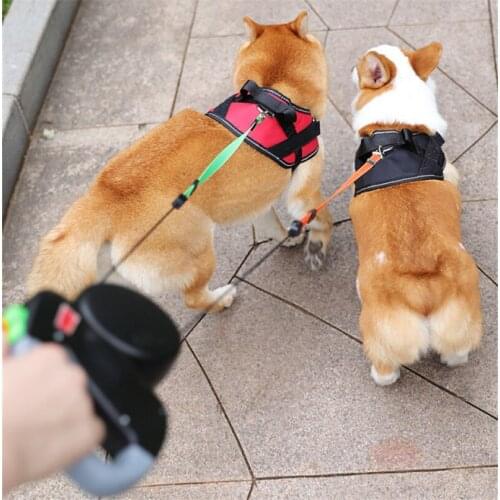 ABS Automatic Retractable Traction Rope With Two-headed Ccreative Dog Leash Dog Pet Supplies For Pet Outdoor Walking