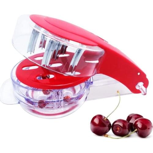 Zhenduo home Pitting Machines