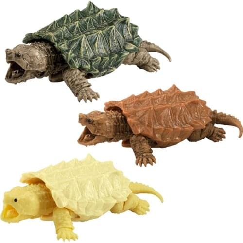 Spot Bandai Tide Play Ornaments Twisted Eggs Big Snapping Turtles Albino Turtles Simulated Animals The Third Bullet