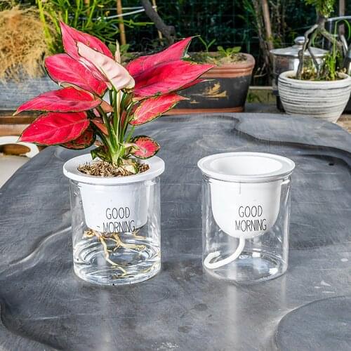 Transparent Hydroponic Flower Pot Automatic Water Absorption Plant Pot Home Office Desk Decoration Simple Lazy Flower Pot