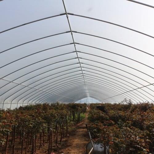Agricultural greenhouse plastic greenhouse