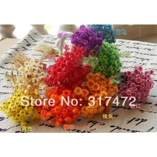 Freeshipping! 200pcs/lot dry flower decorate glass vials glass bottle glass dome glass bubble DIY findings (you can mix them)