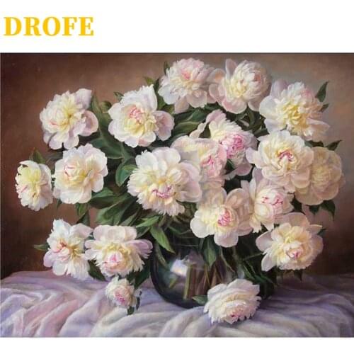 DROFE DIY Frame Painting By Numbers modern mural acrylic pigment unique home decoration hand painted gift 40x50cm White peonies