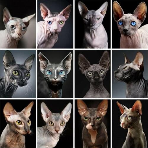 Canvas Size 5D Diamond Painting Kit Full Square Sphinx Cat Diamond Embroidery Beads Set Mosaic Animal Picture Of Rhinestones