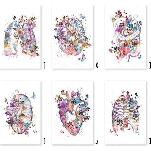 5D Diamond Painting Human Organ Anatomy Embroidery Medical Anatomy Cross Stitch Kit Painted Flower Picture Mosaic Home Decoratio