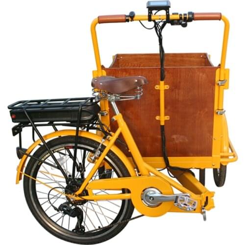 Cheap Adult Electric Bicycle Frame Pedal Spinning Folding Bike for Kids Trike Cargo Bike Shopping Trolleys and Carts