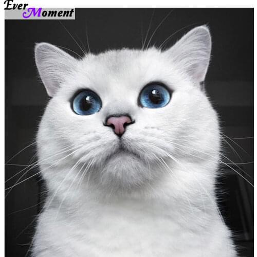 Ever Moment Diamond Embroidery Cats DIY 5D Diamond Mosaic Kit Painting Rhinestones Full square Hobby Craft Needlework ASF601