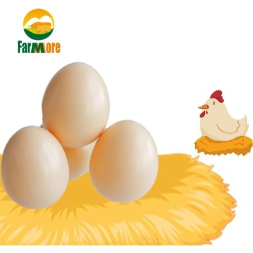 5Pcs Simulation Hen Eggs Poultry Fake Eggs Chicken Nest Supplies Hen Cage Equipment Farm Tools