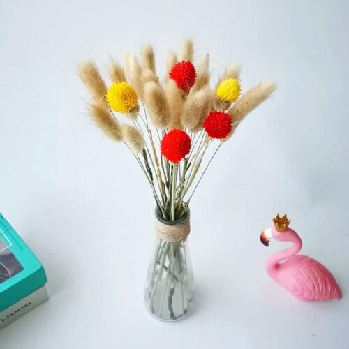 25pcs Natural Bunnny Tail Grass Red Strawberry Dried Flowers Wedding Deco Marriage Flores Home Living Room Party Accessories