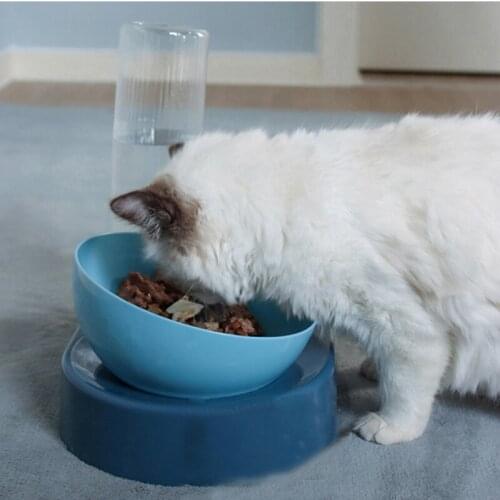 Pet Bowl Automatic Feeder Cat Food Bowl with Water Dispenser Double Bowl Drinking Raised Stand Dish Bowls with Pet Supplies