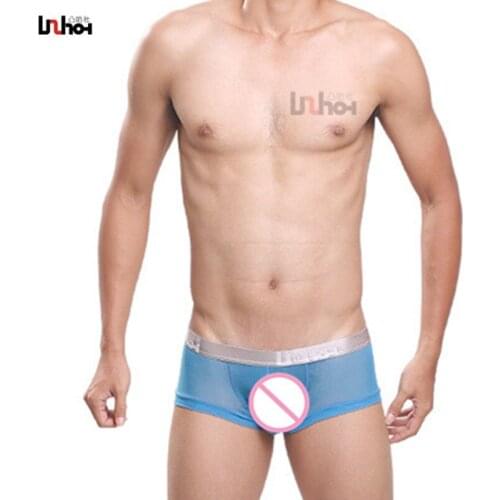 Sexy Mens Boxer Shorts Mesh Transparenter Erotic Trunk Underpant Penis Pouch Panties Man Male Brand Underwear Lingerie Plus Size