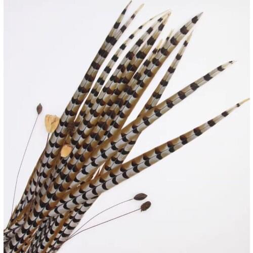 2pcs Super Long140-150cm Natural Ringneck Pheasant Feathers pheasant tail Feather Plumes for Carnival Party performance