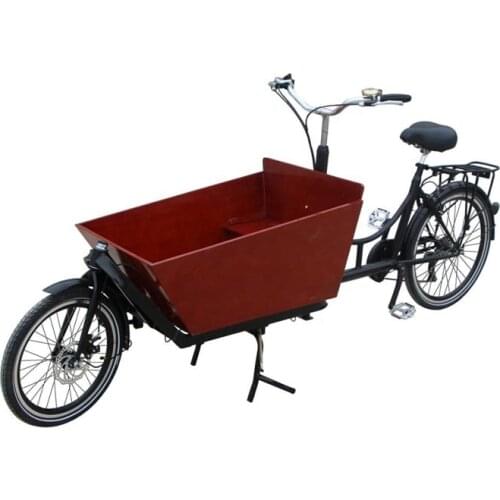3 Wheels Pedal Electric Dutch Adult Tricycle Cargo Bike Family Bicycle Kids Scooter Street Vending Cart for Sale Customizable