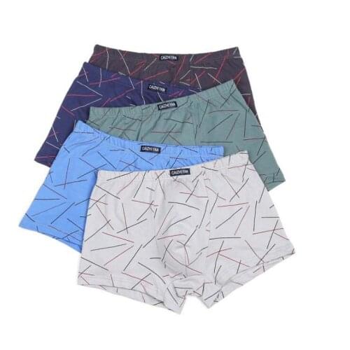 2021 New 5Pcs/lot Men Underwear Modal Underpants Men Boxer Shorts Boxers Men Underwear