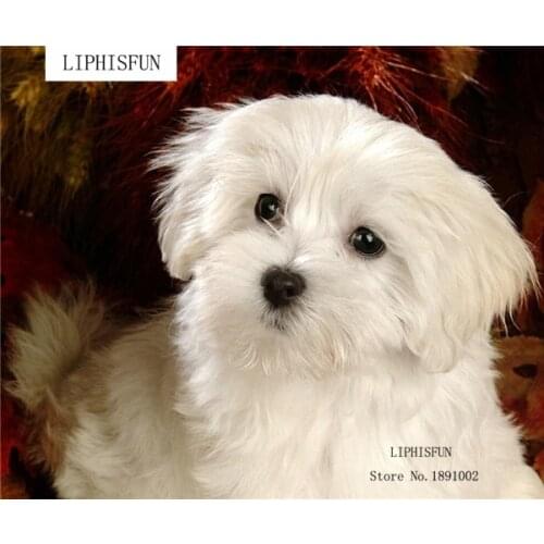 5D Diy Diamond Painting Embroidery Animal Dog Cross Stitch Resin Square Rhinestones Sets Unfinish Home Decor