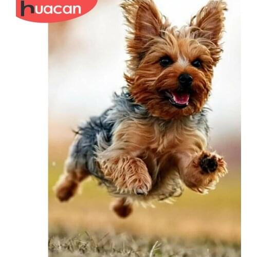 HUACAN 5D Full Square Round Diamond Painting Animal Rhinestone Of Picture DIY Full Diamond Embroidery Dog Home Decor