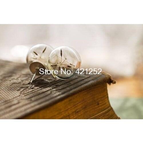 4pairs/lot dandelion seeds stud earrings silver earstuds with glass orbs filled with real dandelions