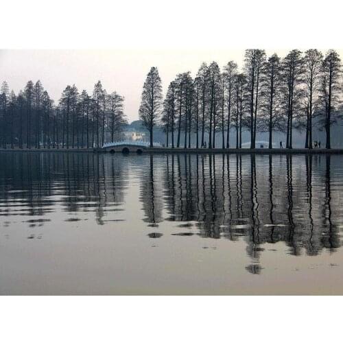 Tree reflection diamond painting scenery rhinestone embroidery landscape mosaic sticker decor diamond dots poster wall paper diy