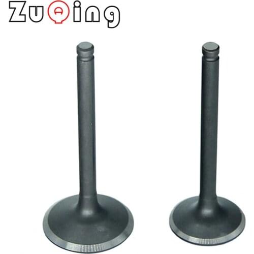 Motorcycle Intake Valve and Exhaust Valves Set Fit For Lifan 125cc 140cc 150cc Motocross ATV Quad Bike GT-112