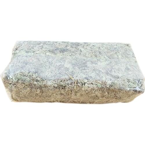 Water Moss Dry Moss Water Grass Substrates For Orchid Phalaenopsis 6L Water Moss Dry Moss Water Grass