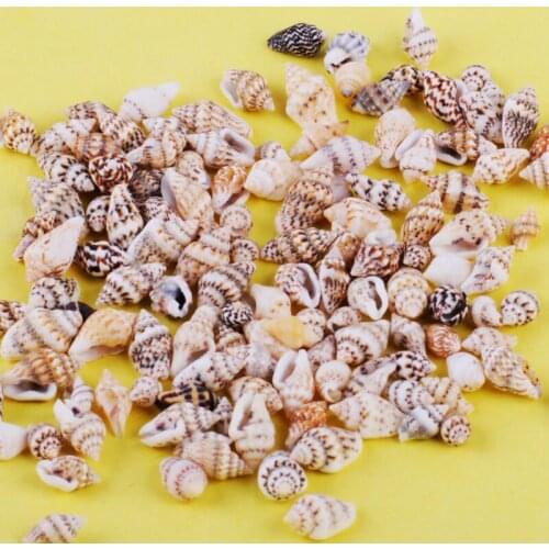 100pcs/Lot 1-2 cm Small Miscellaneous Conch Home toysDecoration Material Natural Craft Seashell Aquarium Fish Tank Landscape